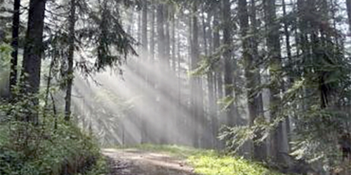 Zu Fuß unterwegs - Wie Du gut schläfst und wach durch den Tag kommst - Teil 1