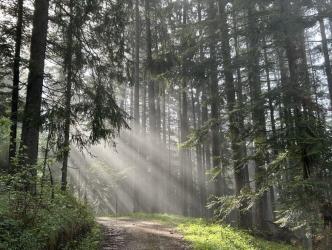 Zu Fuß unterwegs - Wie Du gut schläfst und wach durch den Tag kommst - Teil 1